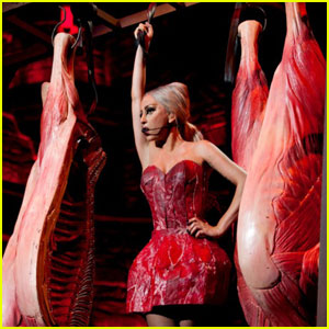 Lady Gaga in a Meat Dress.